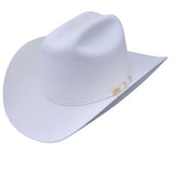 Serratelli Hat Company 10x Beaver Felt Cowboy Hat