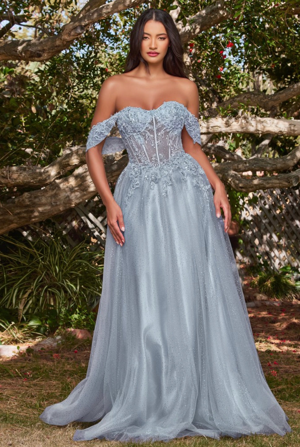 Cinderella 2024 evening dresses