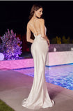 LaDivine By Cinderella Divine Evening Gown BD7044