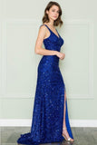 Poly USA Evening Gowns 8872