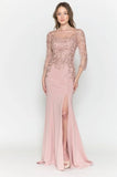 Poly USA Evening Gowns 8564