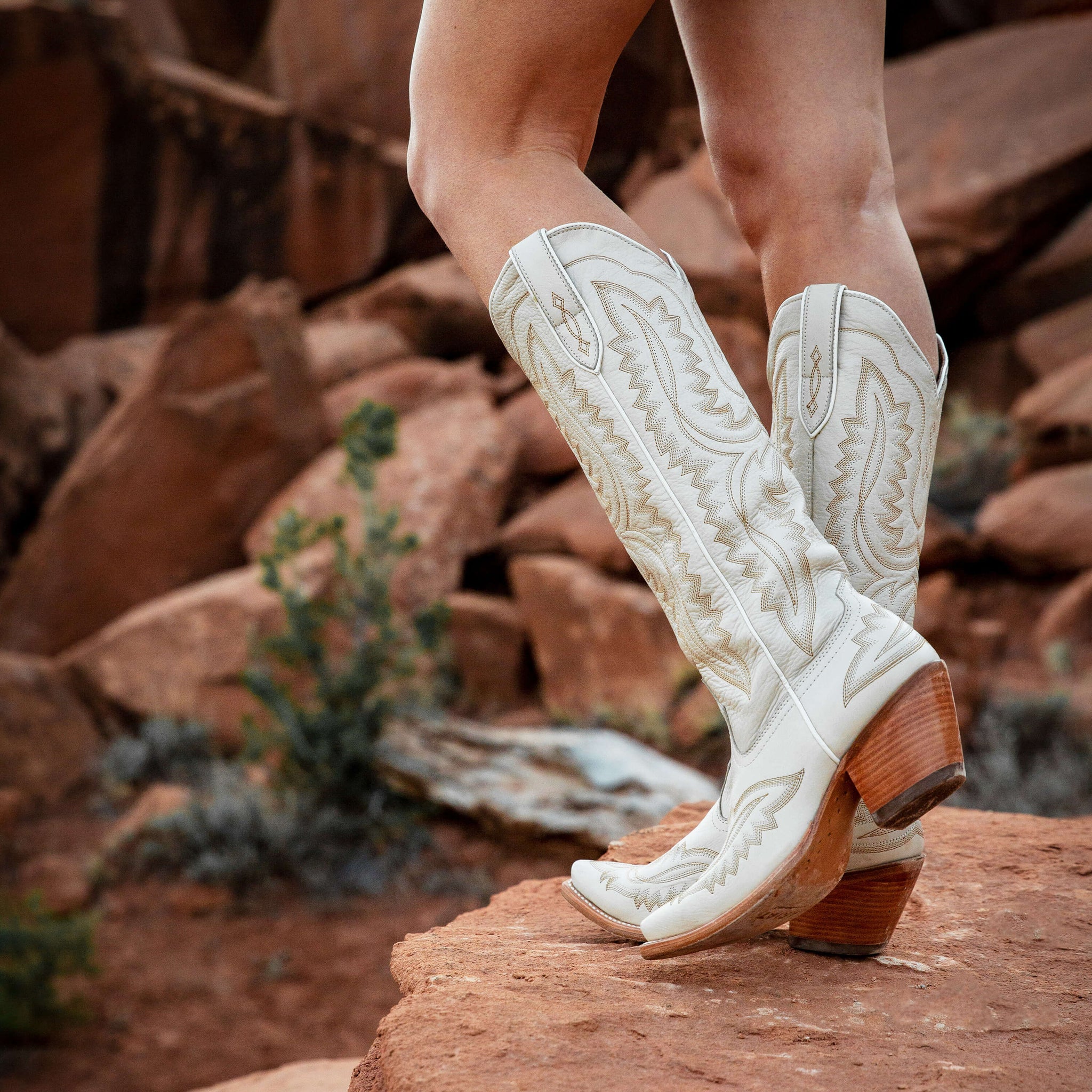 Women's Ariat Casanova Blanco Boots –