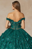 Juliet Quinceañera Dress 1443