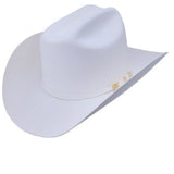 Serratelli Hat Company 6x Beaver Felt Cowboy Hat