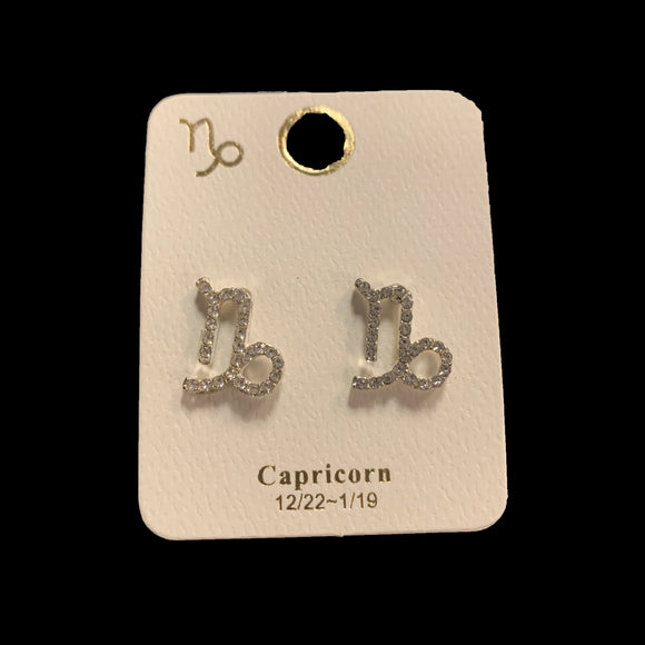 Capricorn Silver Earrings